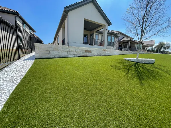 Bandera Pet - Image 4