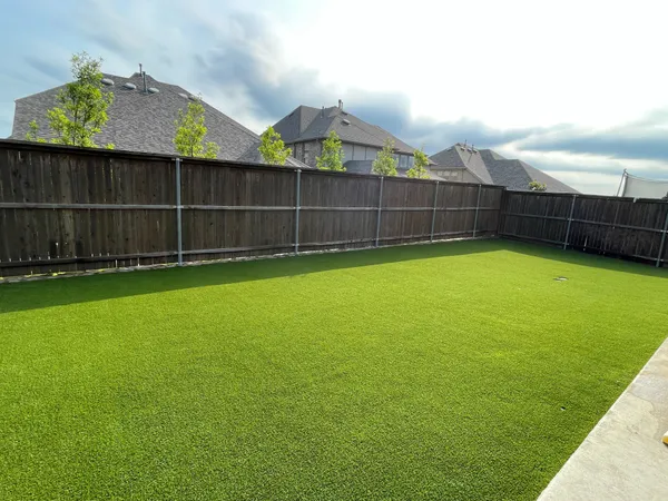 Bandera Pet - Image 5