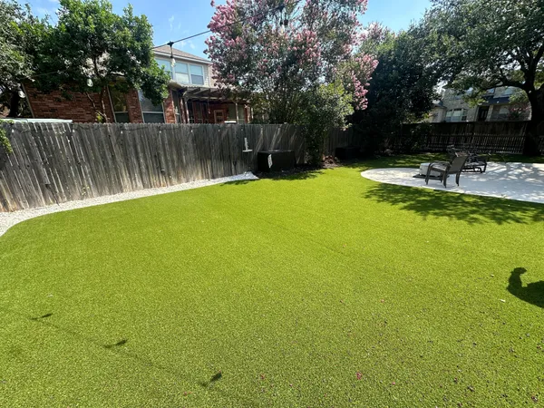 Bandera Pet - Image 6