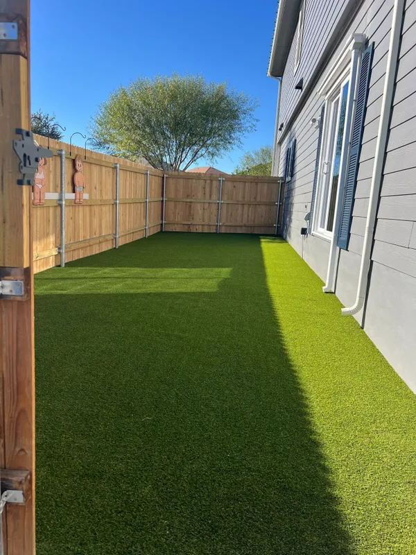 Bandera Pet - Image 7