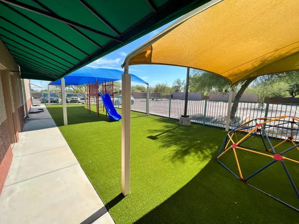 Bandera Pet - Image 11