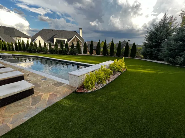 Bandera Pet - Image 12