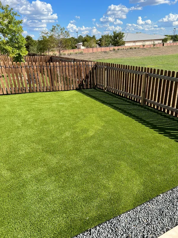 Bandera Pet - Image 13