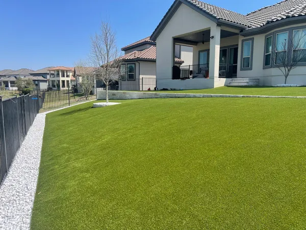 Bandera Pet - Image 15