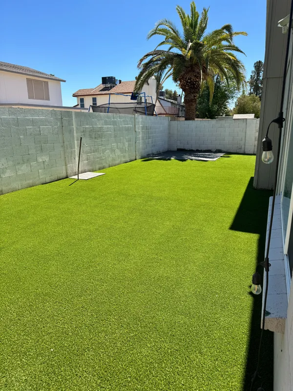 Bandera Pet - Image 16