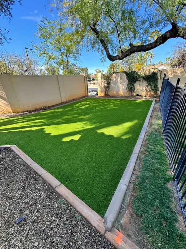 Bandera Pet - Image 17