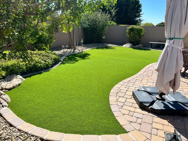 Bandera Pet - Image 18