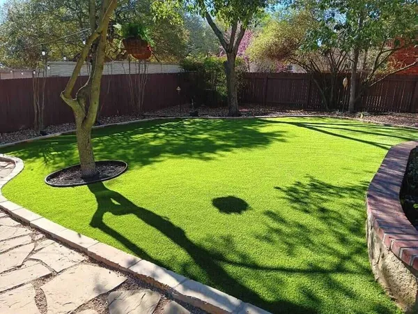 Bandera Pet - Image 22