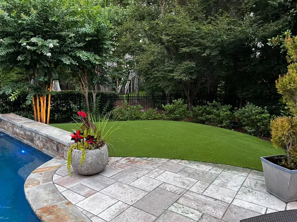 Bandera Pet - Image 25