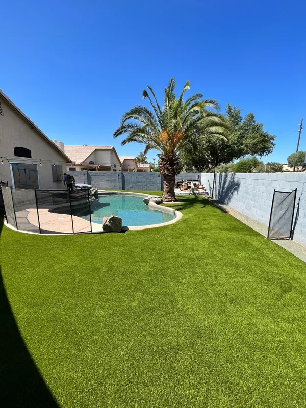 Bandera Pet - Image 26