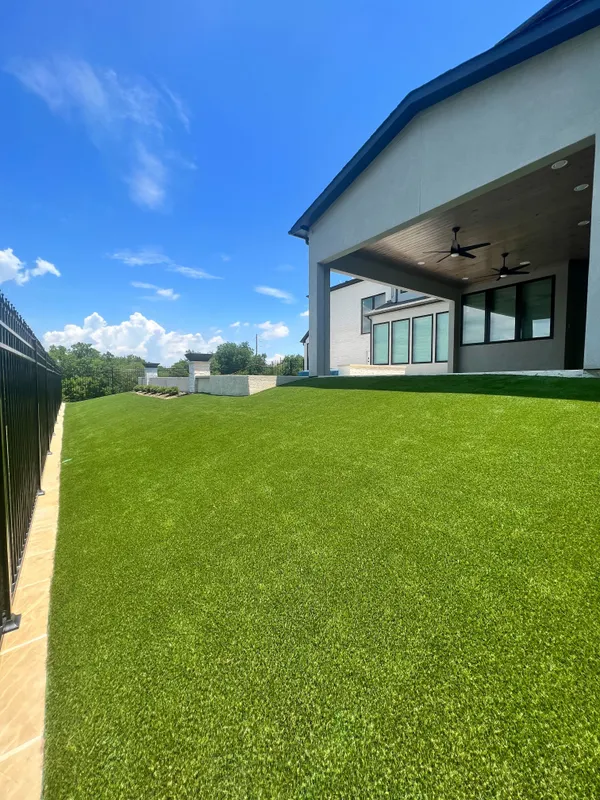 Bandera Pet - Image 28