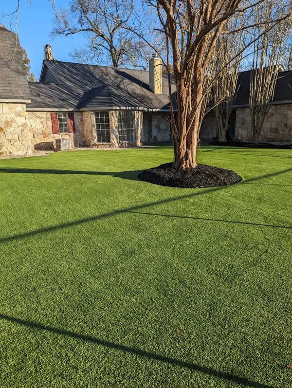 Bandera Pet - Image 29