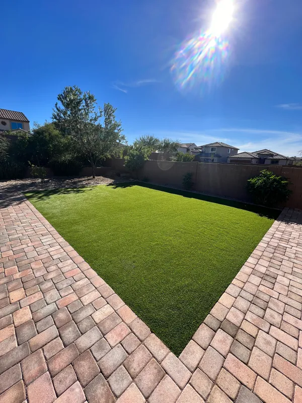 Bandera Pet - Image 30