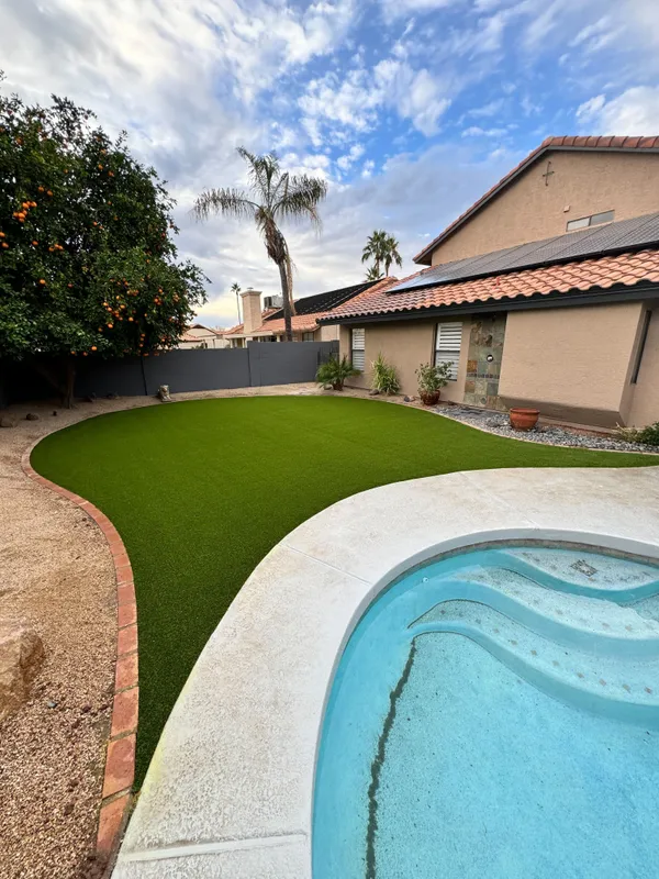 Bandera Pet - Image 32