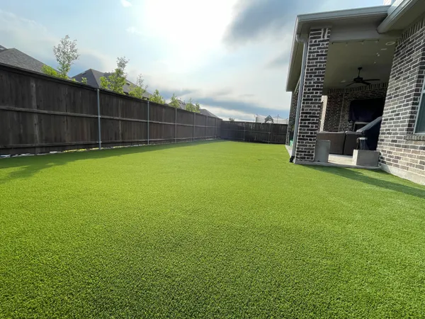 Bandera Pet - Image 33