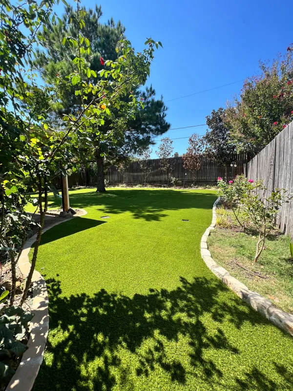 Bandera Pet - Image 38