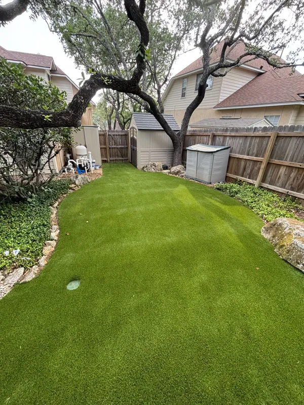 Bandera Pet - Image 3