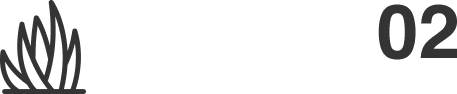 Step 2