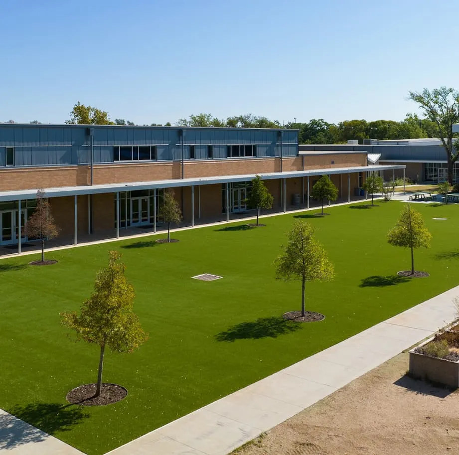 Schools & Playgrounds