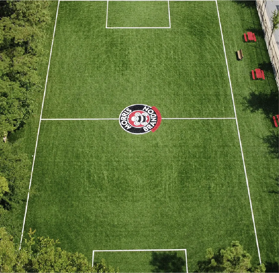 Athletic Fields