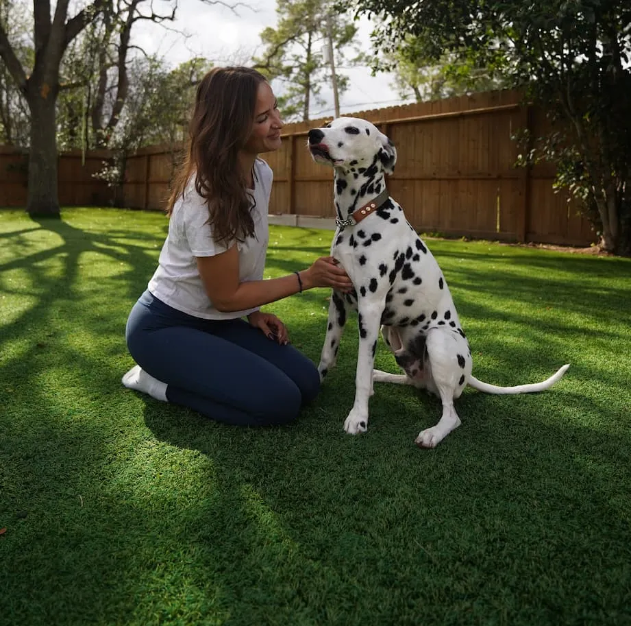 Pet Turf