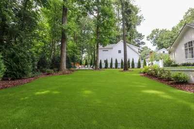 Turf project photo