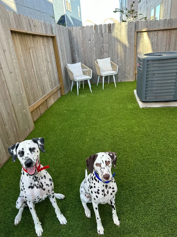 Luckenbach - Image 2