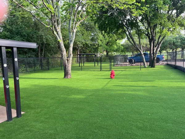 Pease Park Pet - Image 3