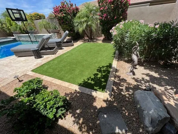 Pease Park Pet - Image 4