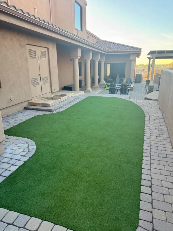 Pease Park Pet - Image 5