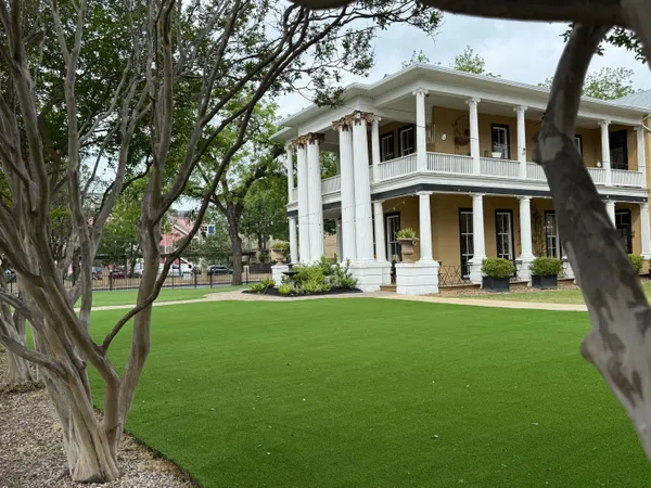 Pease Park Pet - Image 7