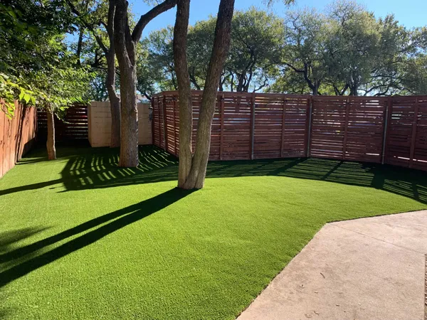 Pease Park Pet - Image 9