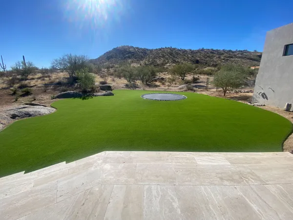 Pease Park Pet - Image 11