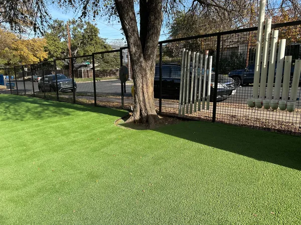 Pease Park Pet - Image 12