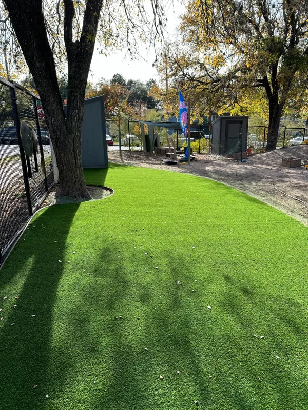 Pease Park Pet - Image 13