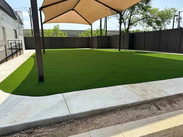 Pease Park Pet - Image 15