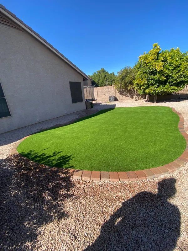 Pease Park Pet - Image 17