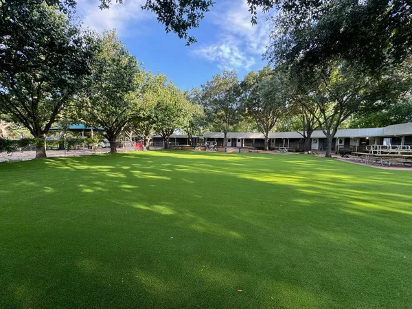 Pease Park Pet - Image 18