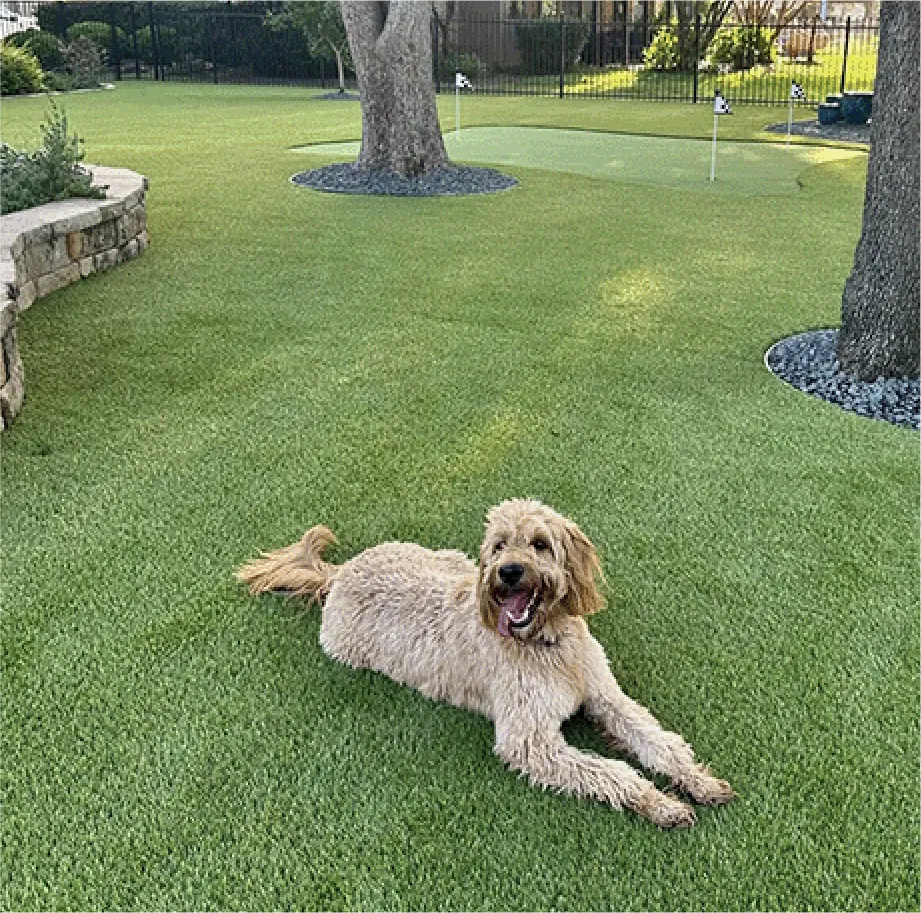 Pet Turf