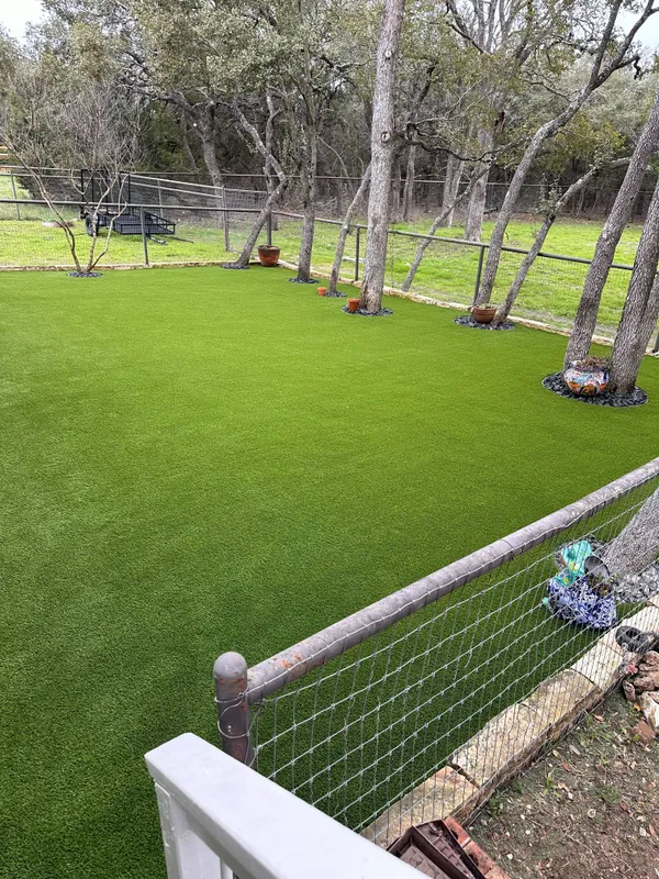 Southern Play - Image 6