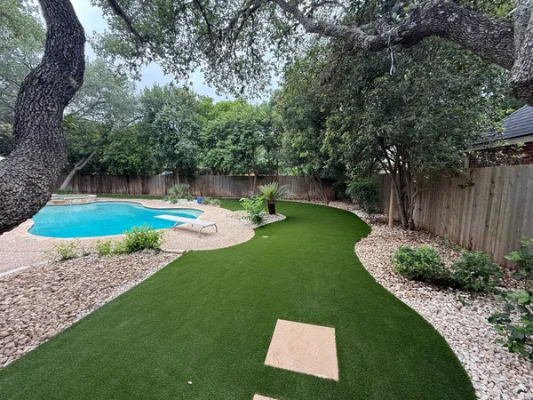 Zilker Pet - Image 4