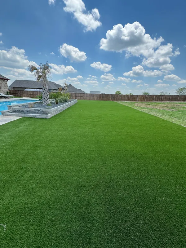 Zilker Pet - Image 6