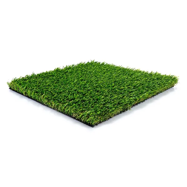 Zilker Pet - Image 7