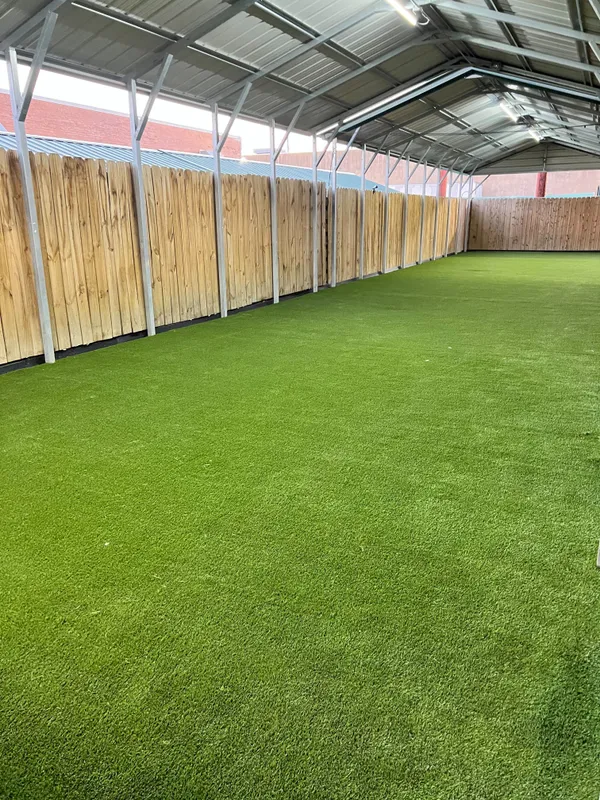 Zilker Pet - Image 8