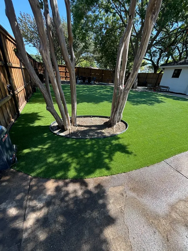 Zilker Pet - Image 9