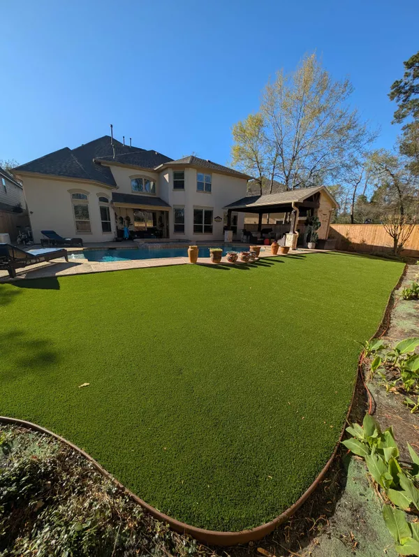 Zilker Pet - Image 13