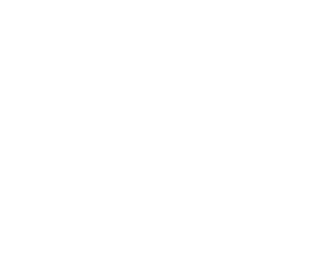 Southern Turf Co