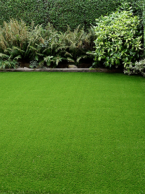 landscape Artificial turf