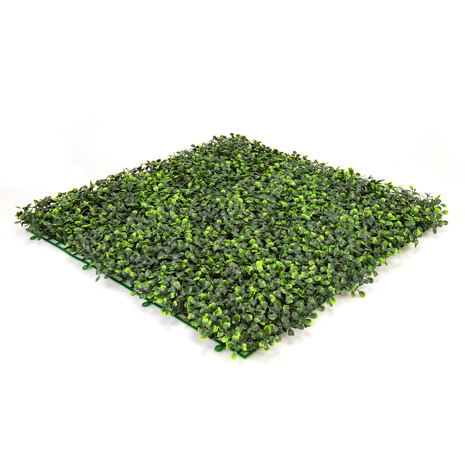 Hedge Image 1 Hedge Image 1