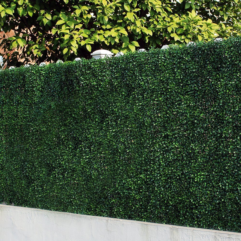 Ivy Hedge Wall Ivy Hedge Wall